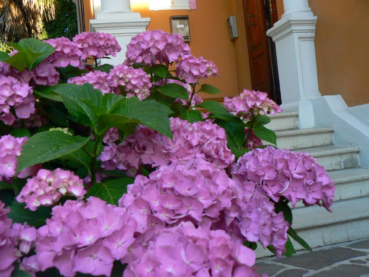 B&B Aquilone Urbino Exterior photo